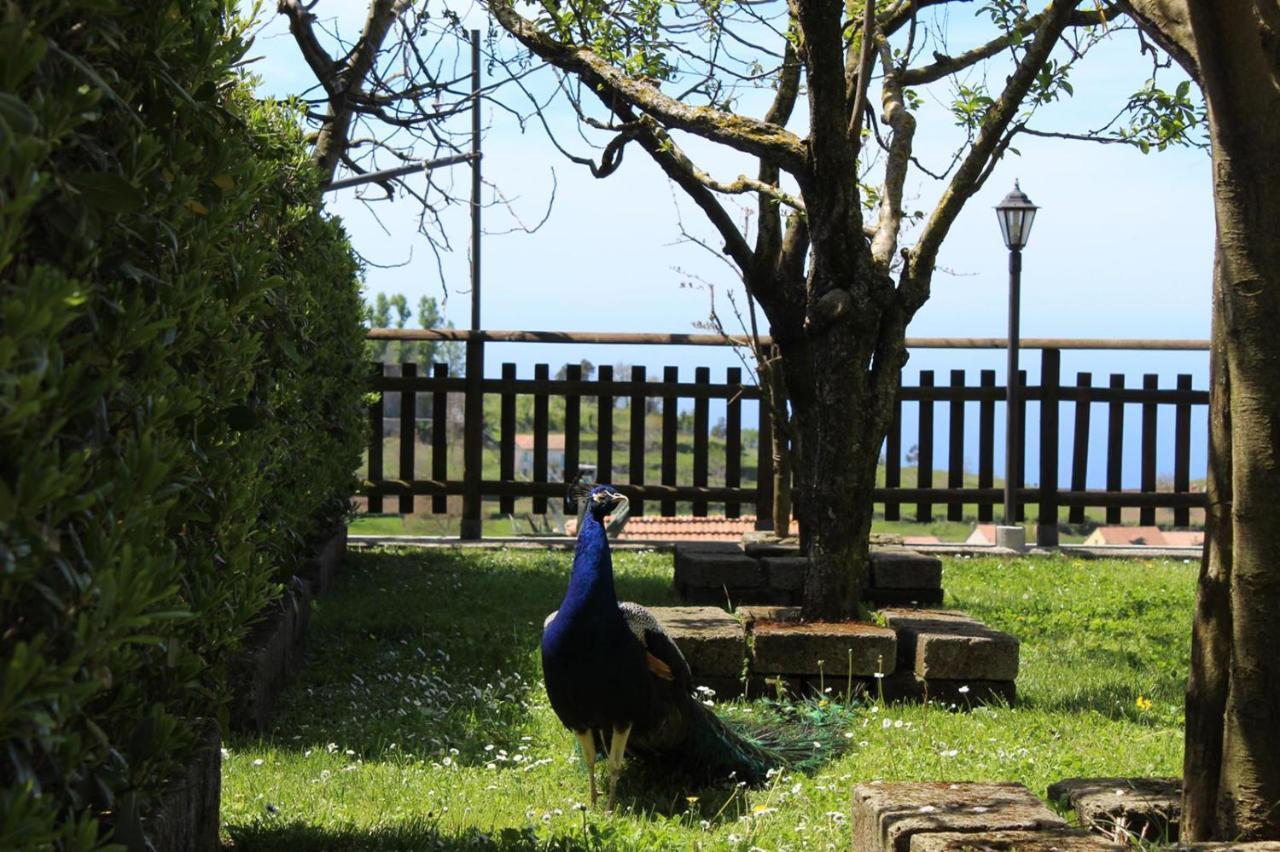 Agriturismo La Baita Аджерола Екстериор снимка